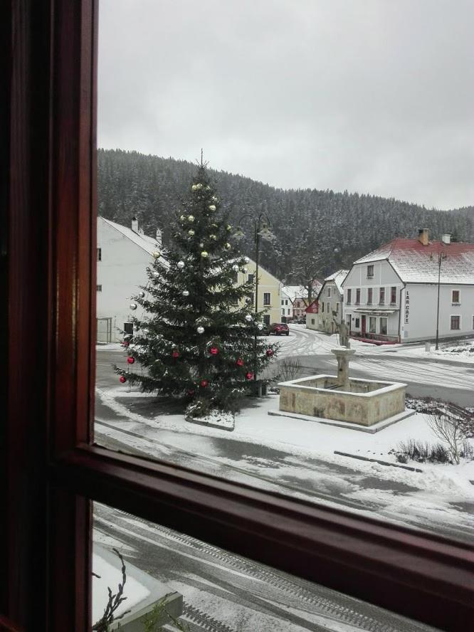 Hotel U Martina - Kocabka Rožmberk nad Vltavou Buitenkant foto